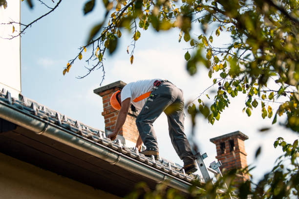 Best Storm Damage Roof Repair  in Zanesville, OH