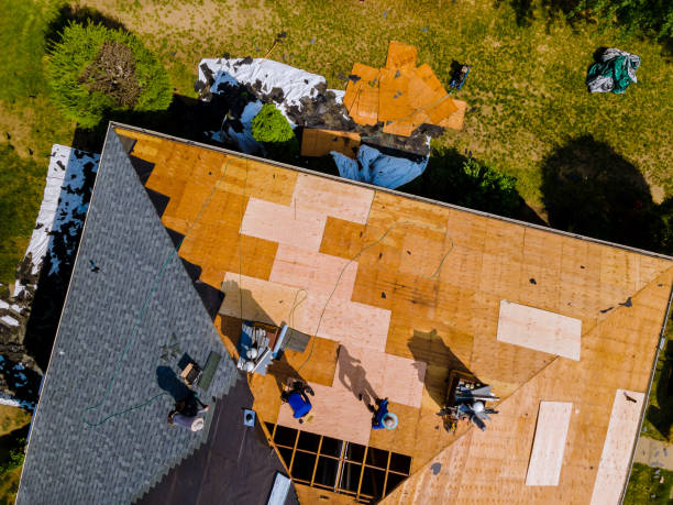 Best Storm Damage Roof Repair  in Zanesville, OH