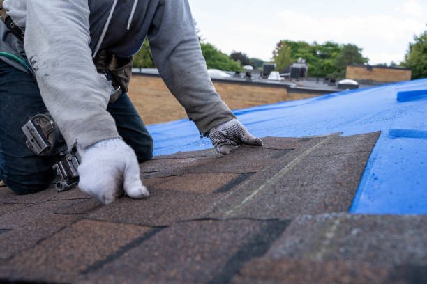 Best Shingle Roofing Installation  in Zanesville, OH